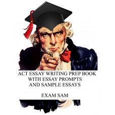 how to write an essay apa style